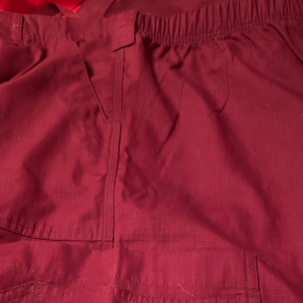 Carhartt scrub pants